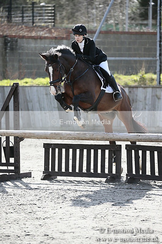 BVRC SJ 170319 593 - Bourne Valley Riding Club Showjumping 17/03/19