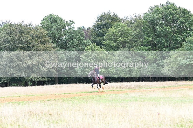 DSC_8764 - Time at Statue 14:33 to 15:10