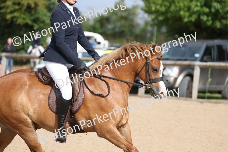 20250803-0376 - Class 1 - 60cm