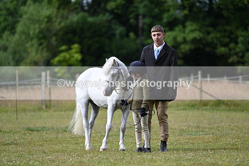 WJ7_4690 - Class 1 Lead Rein Pony