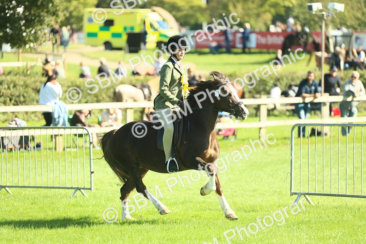 SBM_39111 - S29 - Novice & Newcomers Working Hunter Pony