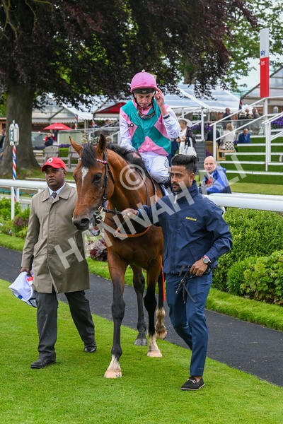 150624-Race 3-Klondike-7198 - Race 3 3.00pm Sky Bet Race To The Ebor Grand Cup Stakes