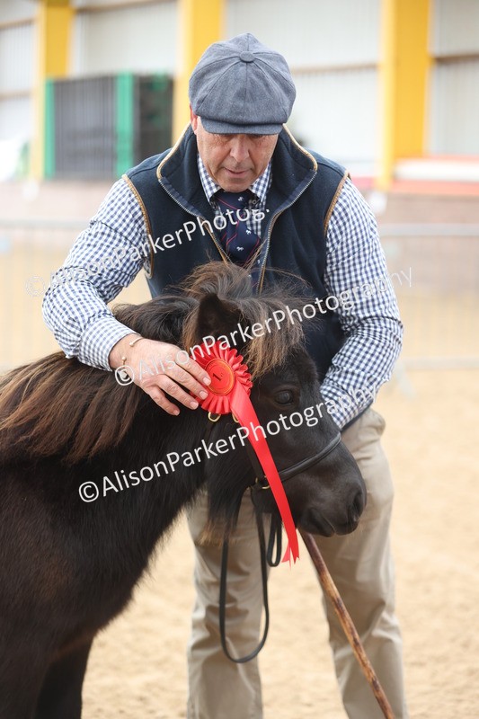20251109-0019 - Class 2 - Yearling, Colt, filly or gelding