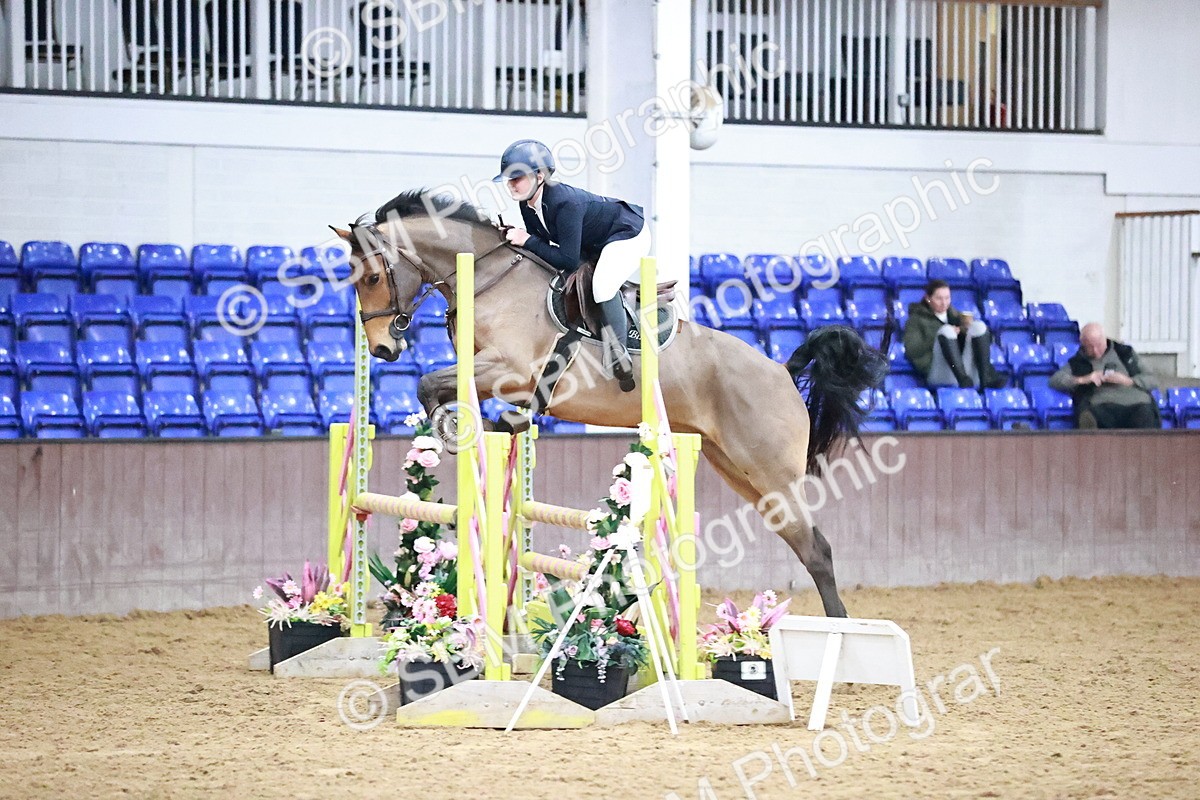 SBM_001834 - Class 8 - Senior British Novice 90cm