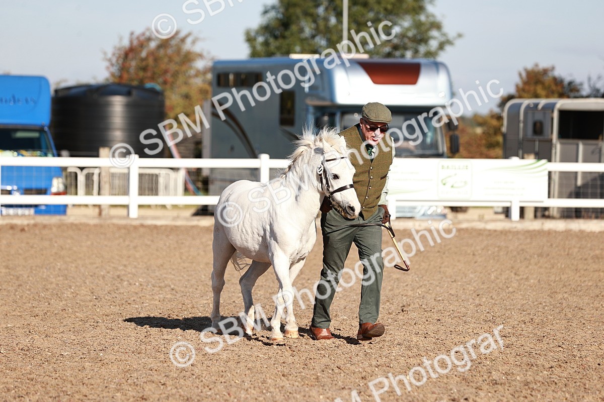 SBM_11429 - Class 402 - IH  Veteran pony