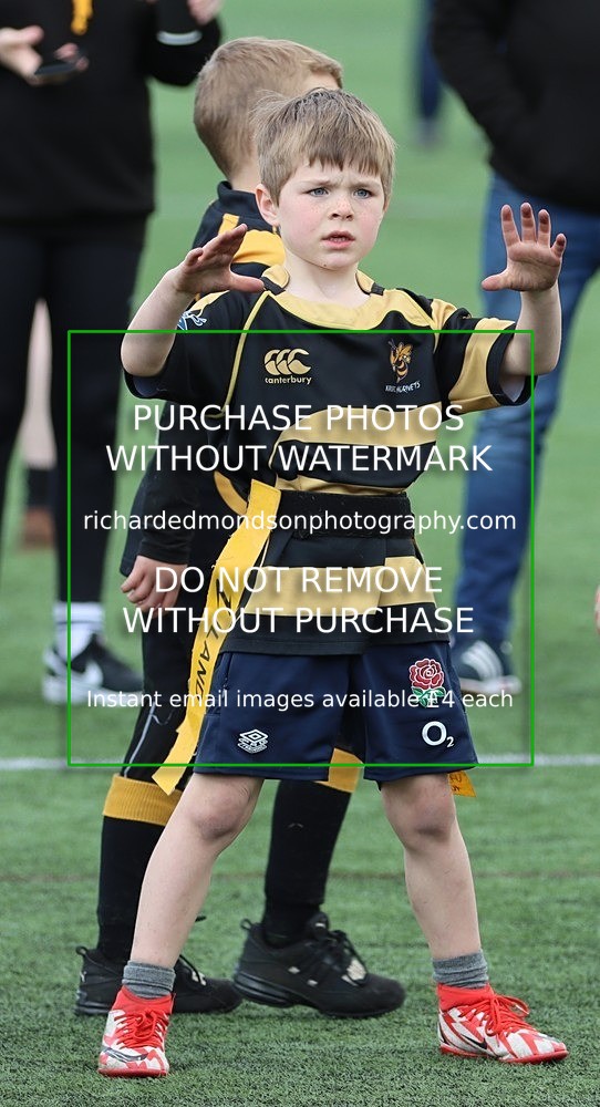IMG_3142 - Kendal Rugby Under 7's (27/4/24)