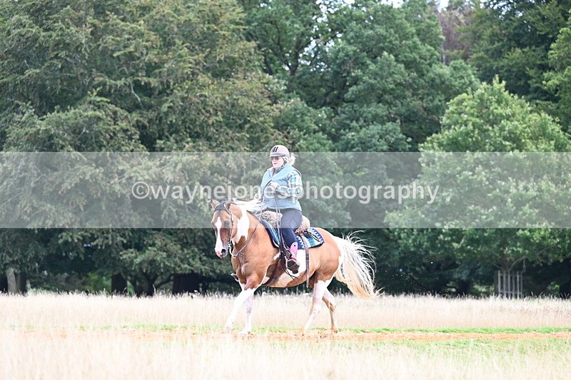 DSC_7070 - Time at Statue 12:45 to 13:15