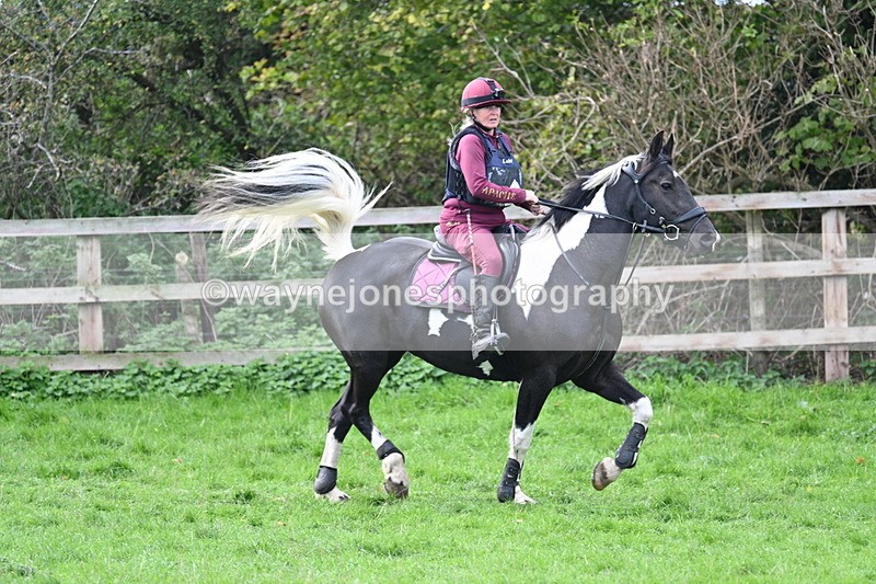 WJ7_8714 - Time 12:12 to 12:37