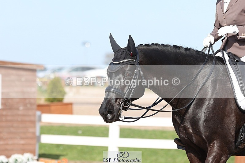 250404-162752-07524 - 124-Penny.Smith-Rembrandt.GSH