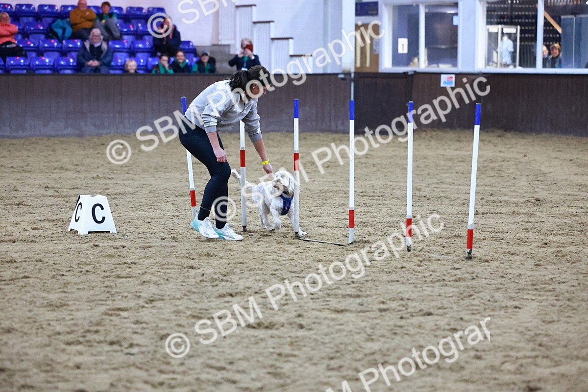 SBM_005911 - Evening Performance