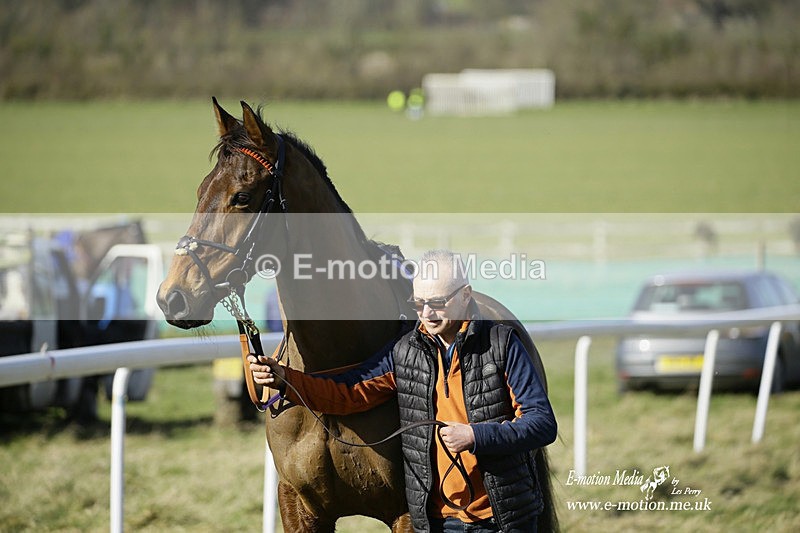 PtP 260222 307 - Kingston Blount Racing Club Point-to-Point 26/02/22