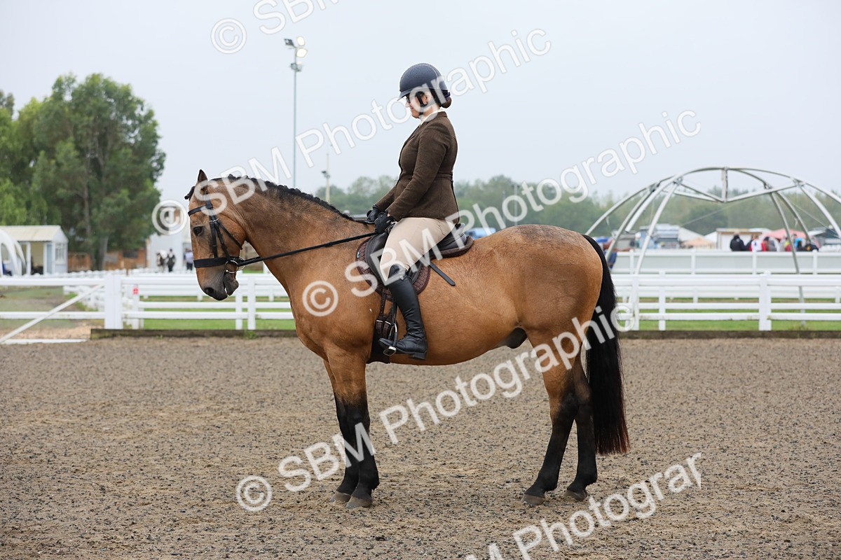 SBM_19907 - Class 801 - Ridden Veteran