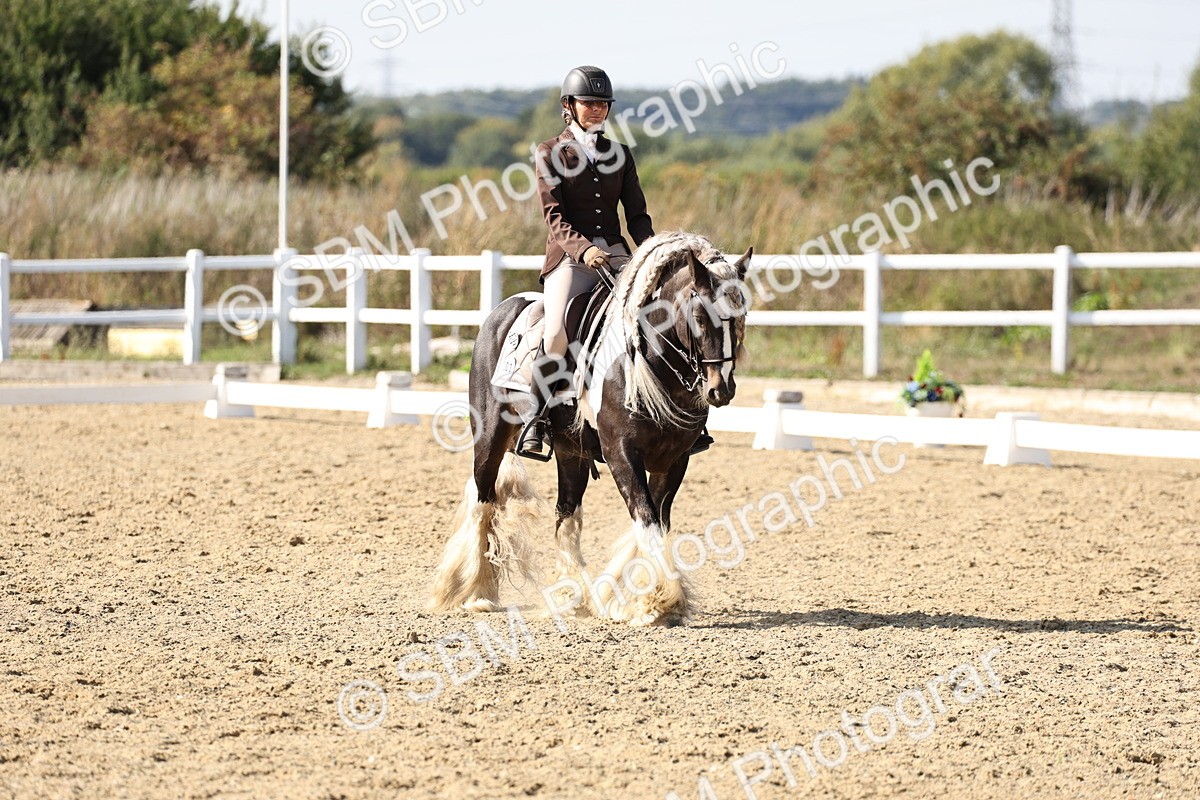 SBM_015269 - Class 9 - Advanced medium 3