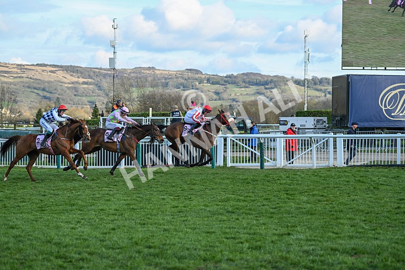 140325-The Real Whacker-WR-5653 - 14th March