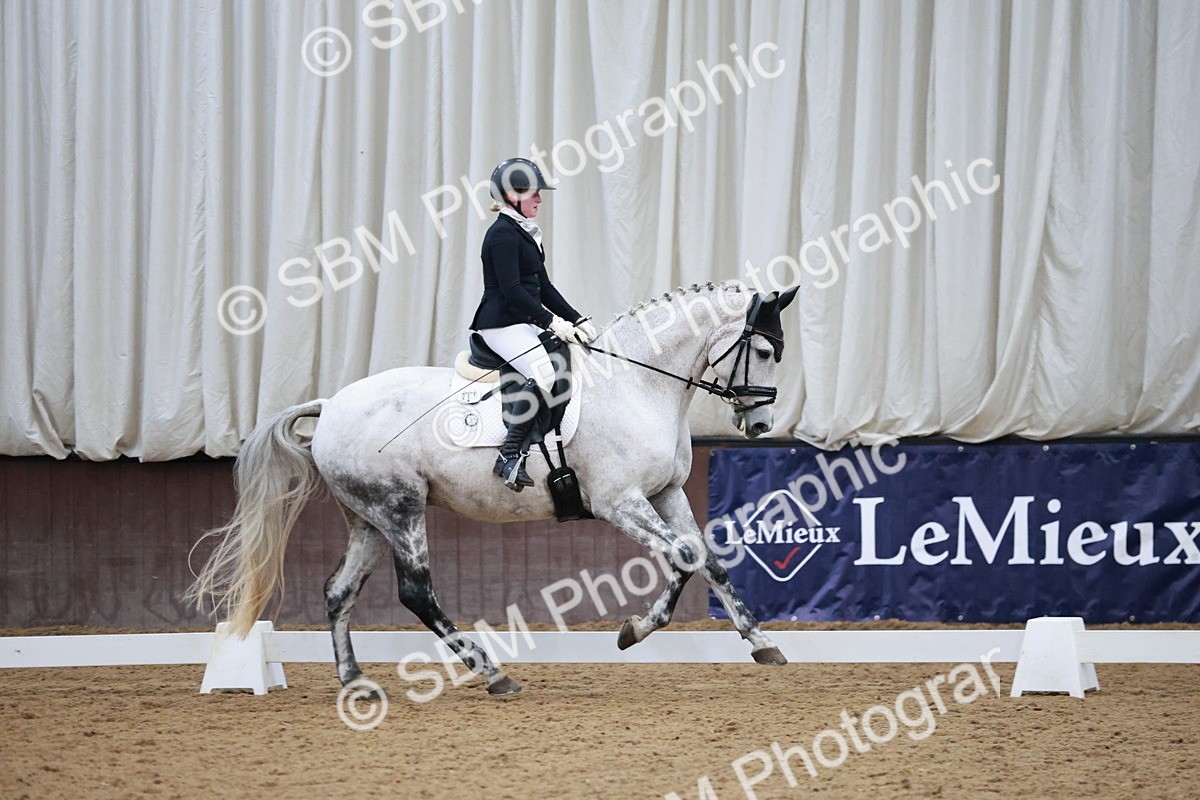 SBM_004536 - Ring 3 - International -  Working Hunter Classes 23-2-25