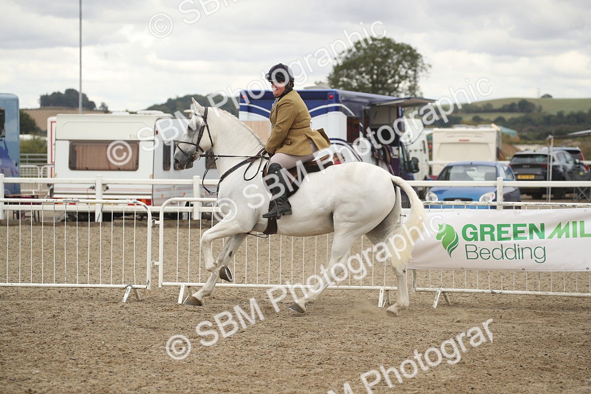 SBM_18249 - Class 509a - Working Veteran - 80cm (15-19)