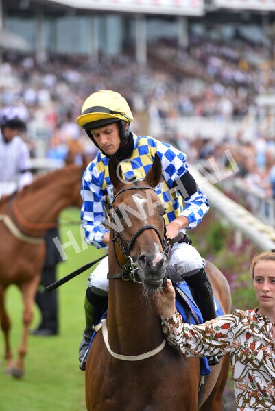 yr24072021r1-36 - Race 1 2.05pm Sky Bet Jump Jockeys Nunthorpe