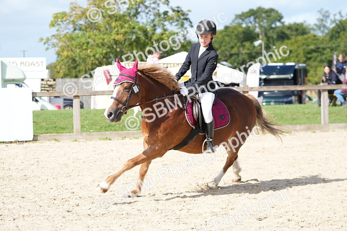 SBM_18011 - J58 - Clear Round 50cm