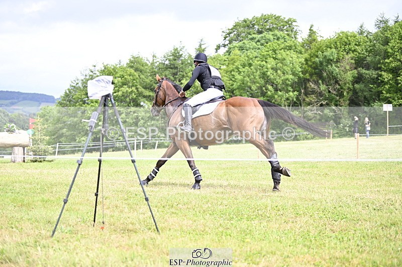 250524A-145854-13689 - C-216-Harrison.Chart-MY.KIND.OF.LADY