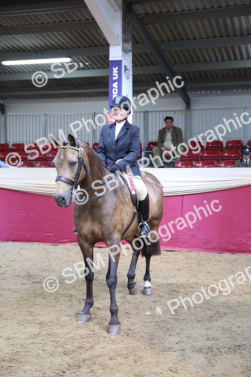 SBM_24810 - Class 906 - Supreme Final - Ridden Pre Vet