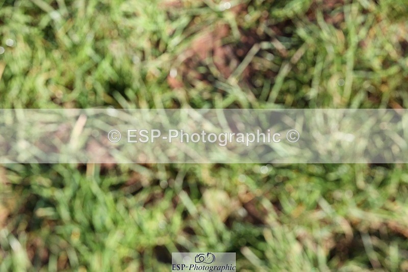 231022-120024-27184 - BE100 Presentations