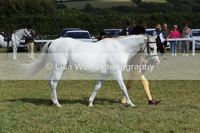 1X9A5807 - Class 40: NPS Welsh A & B