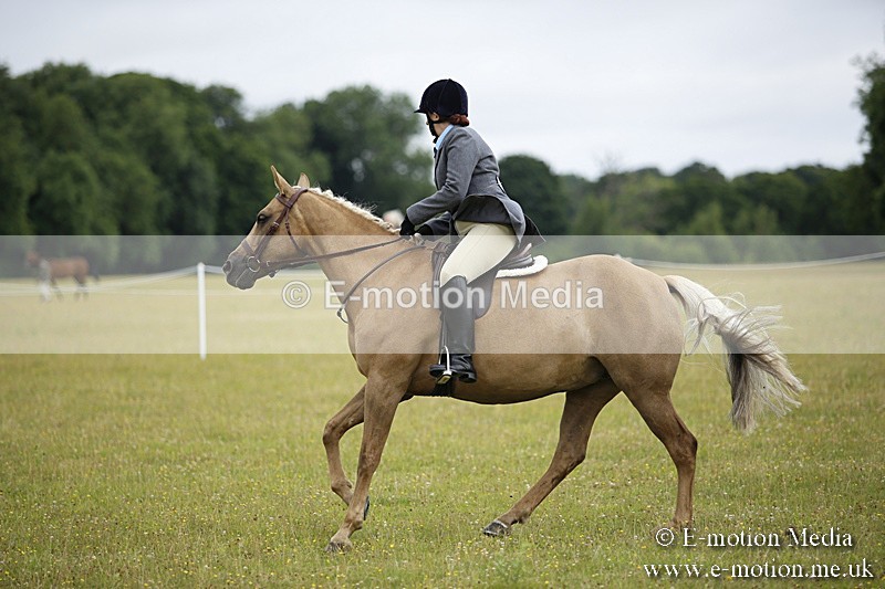 BVR160717-288 - Ring 1 BVRC Show 16/07/17