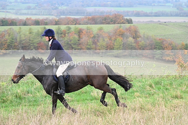 WJ7_0017 - Camera 1 & Last fence