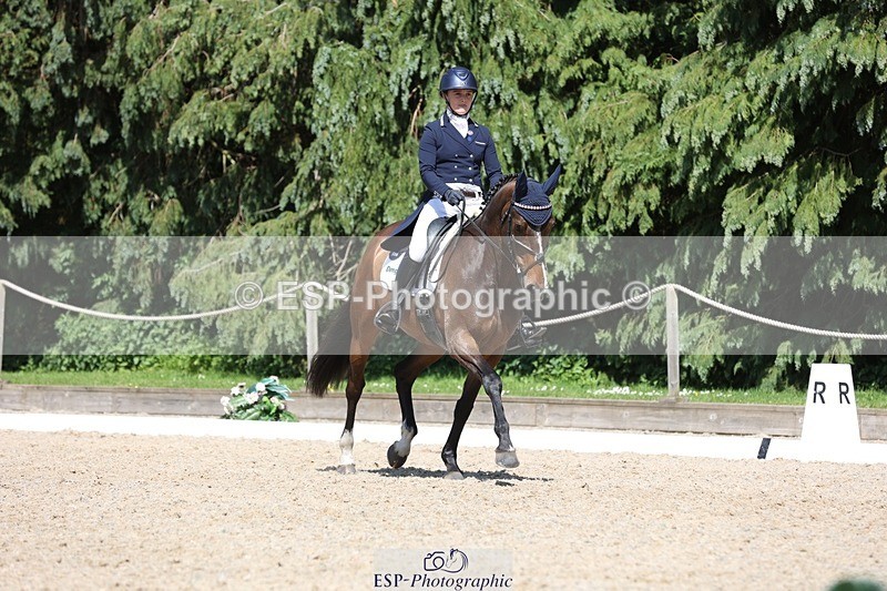 230526-151311-06653 - 379-QUIZICAL_Z-Alice_Hallows-WEDTrotUp+DR