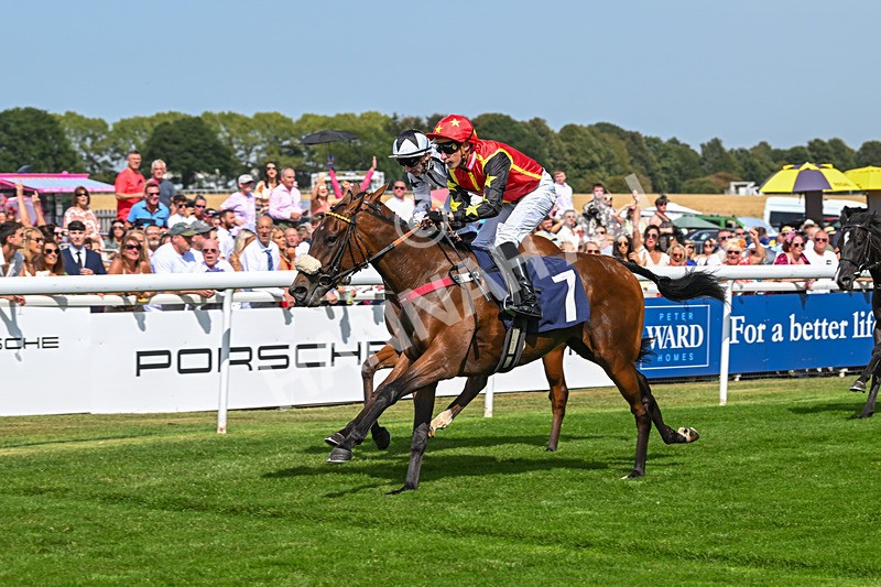 130825-Race 1-Arduis Invicta-6743 - Race 1