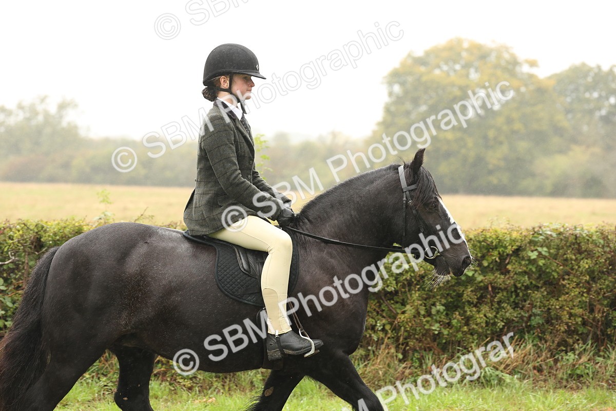 SBM_72682 - S70 - Traditional Cob Ridden