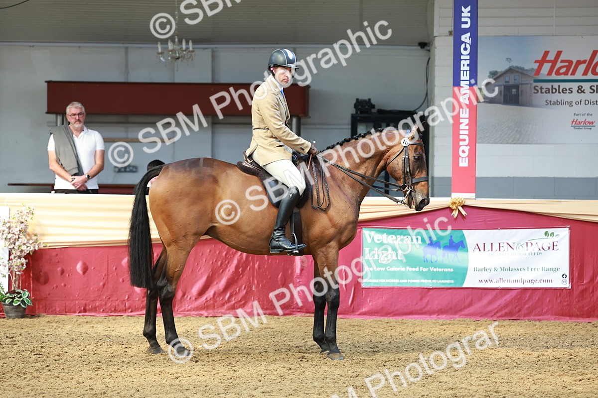 SBM_14932 - Class 108 - Ridden Retired Racehorse