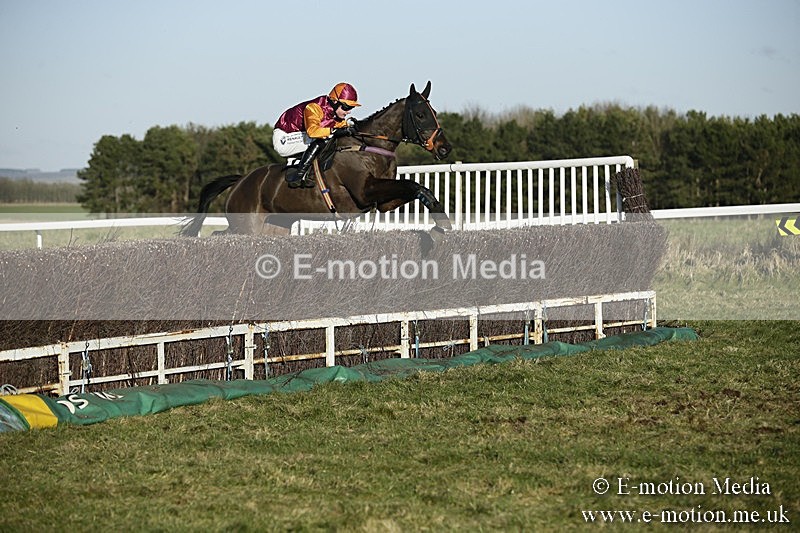 PtP 070118 -469 - Larkhill Racing Club Point to Point Larkhill 07/01/2018