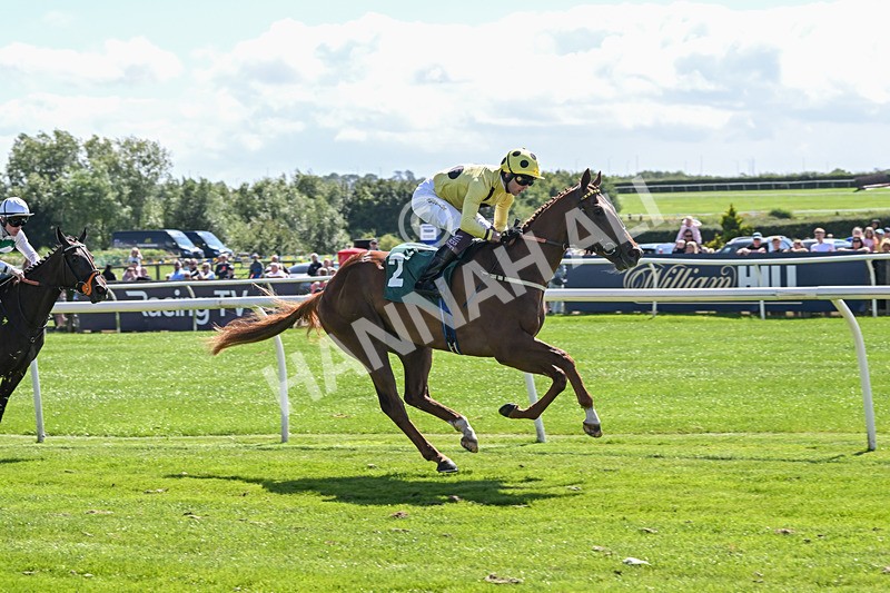 050825-Race 1-Reverberate-5046 - Race 1