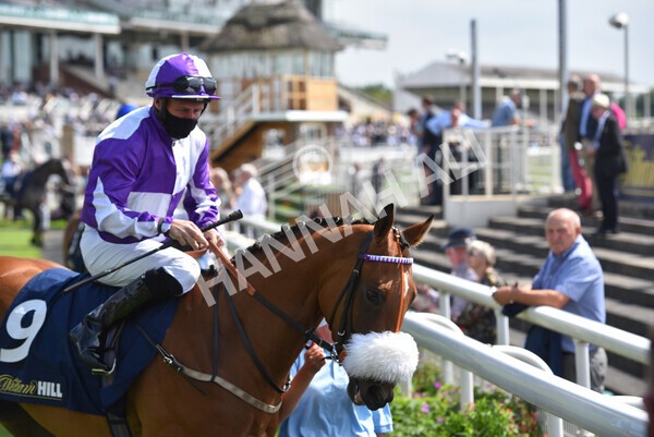 yr09072021r2-5 - Race 2: 2.40pm William Hill Summer Stakes