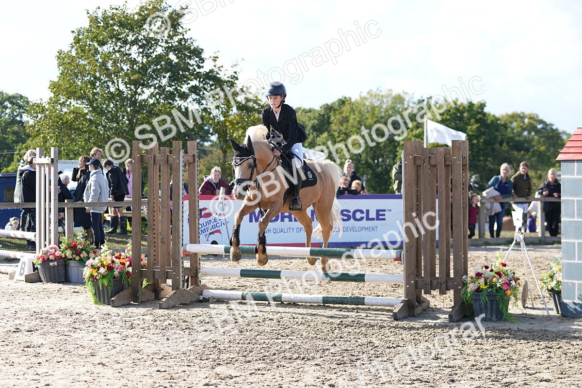 SBM_49268 - J8 - Junior Pony 65cm Championship