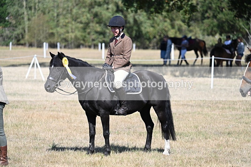 WJ7_4159 - Class 9 Mountain & Moorland Ridden