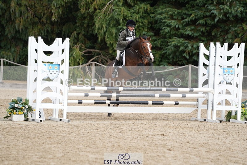250824A-134118-37627 - 2147-George.Walford-meadow.sweet.conker