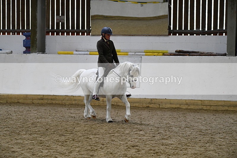 WJ5_6258 - Class 9 Ridden Veteran