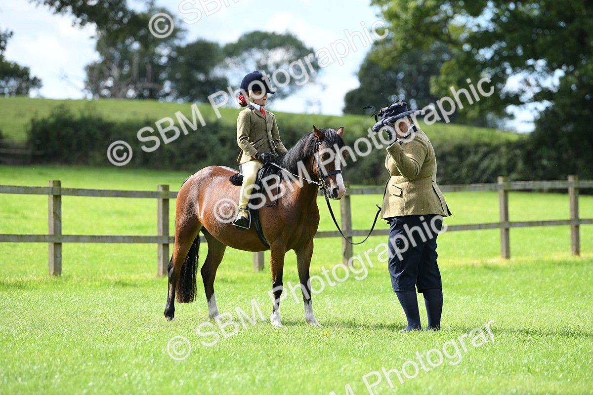 SBM_42529 - S20 - Lead Rein Mountain & Moorland Pony