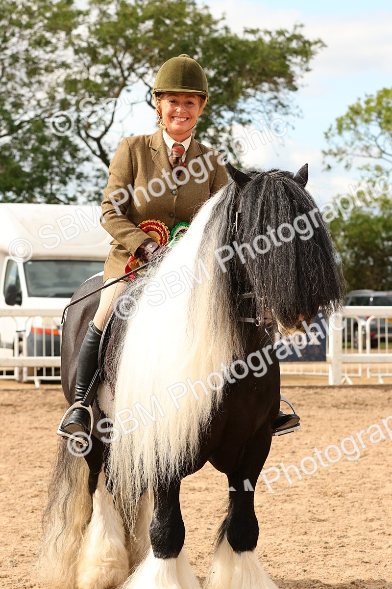 SBM_15733 - Class 215 - Ridden Traditional - Native Cobs