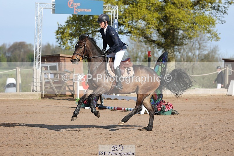 250427-084520-14633 - Cls 28 Young Horse 5yr old