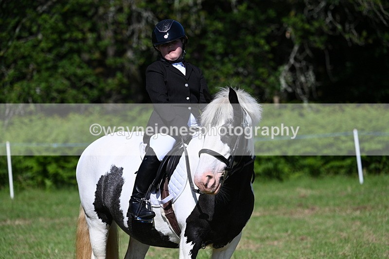 WJ7_0429 - Class 8 First Rally Pony