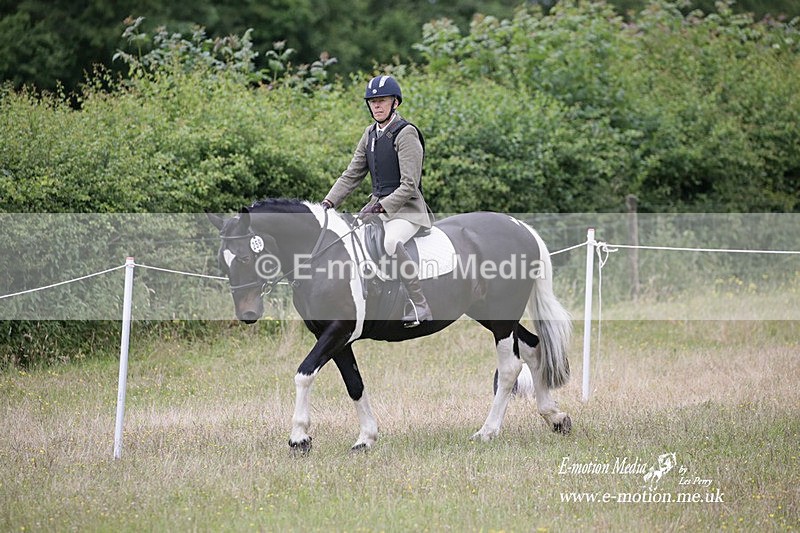 BVRC 030721 800 - Bourne Valley Riding Club Dressage 03/07/21