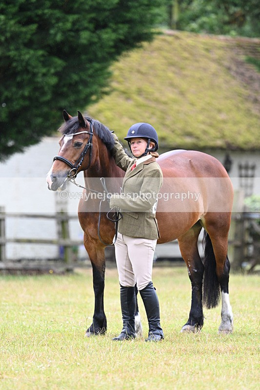 WJ7_6320 - Class 4a Prettiest Mare over 14hh
