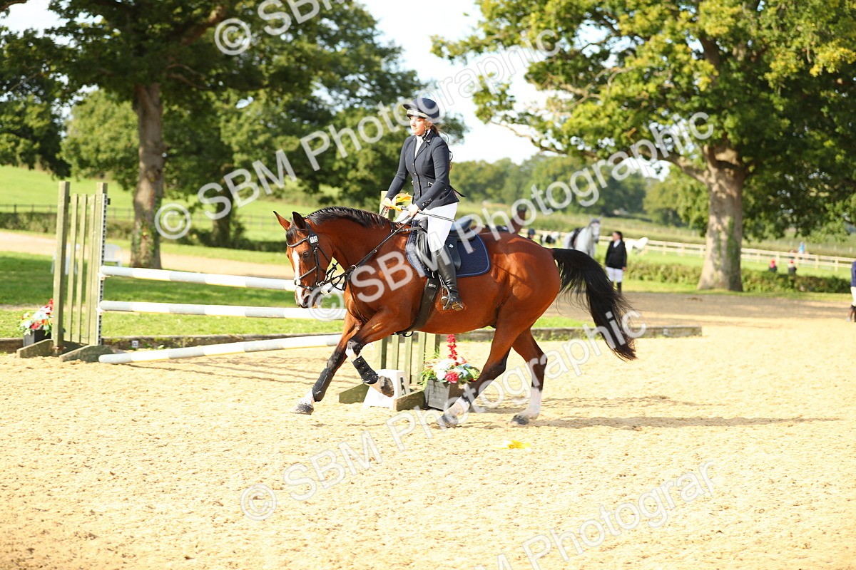 SBM_60471 - J41 - Grand Tour 95cm Championship