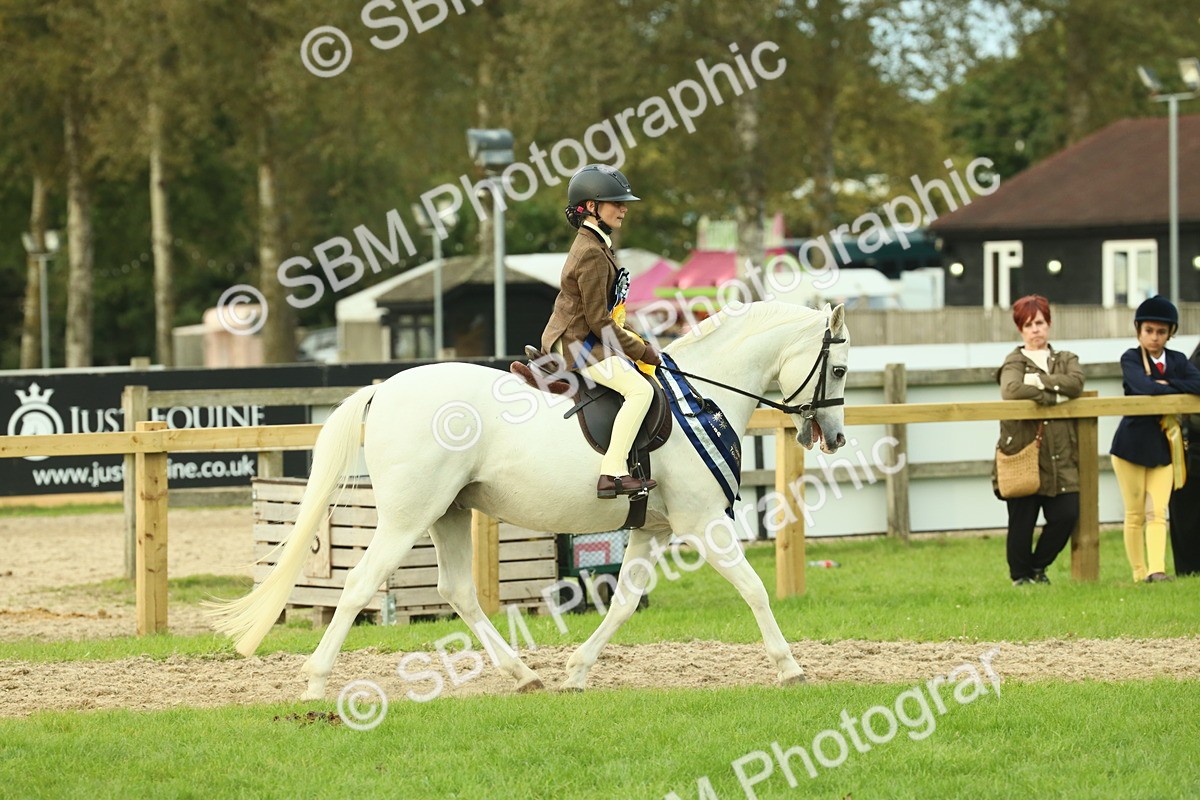 SBM_75234 - Super Supreme Championship