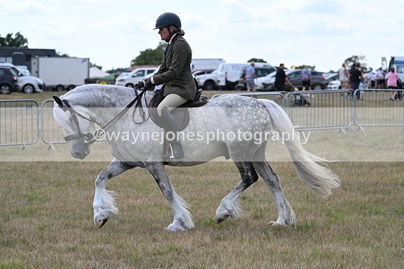 WJ7_5283 - Class 12 Ridden Cob