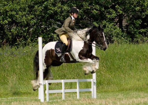 83 - Moniaive Horse Show 2008