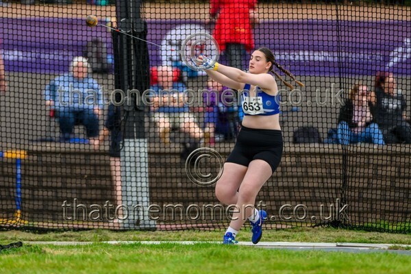 Sen25SAT-926676 - Field Female Set Two